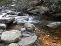 DSCN1439