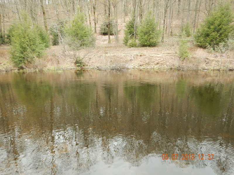 DSCN3146.jpg - The pond where I got most of the stocked rainbows.