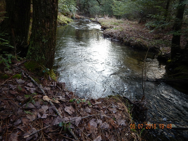 DSCN3165.jpg - We fished a section of the upper part of Benner Run.  It looked like it should be loaded with brookies but, alas, it was not.