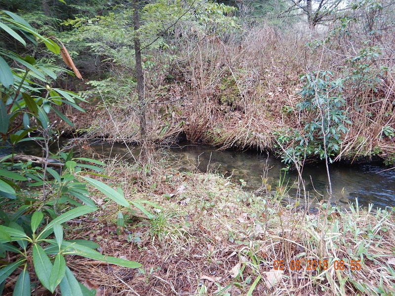 DSCN3169.jpg