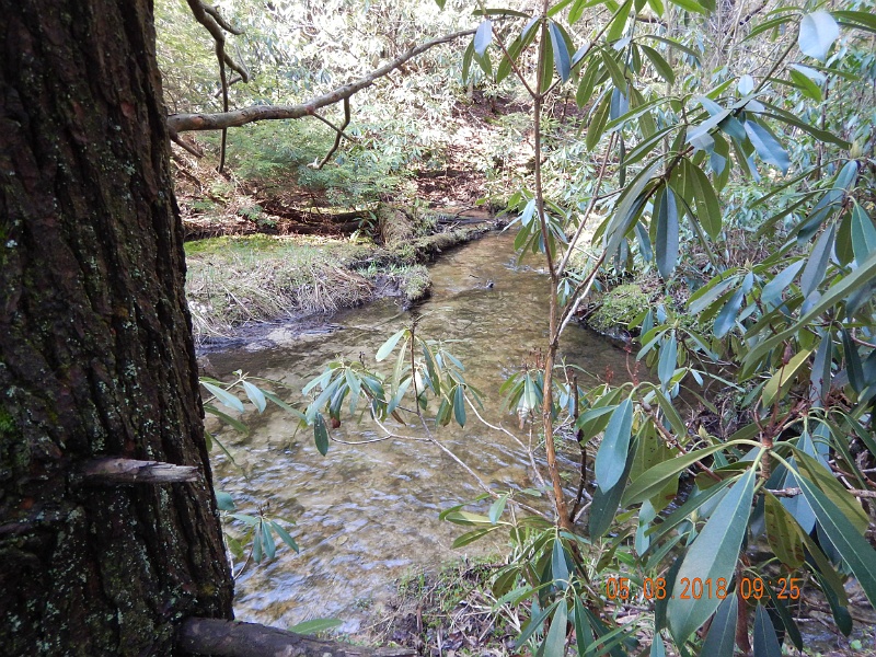 DSCN3173.jpg - One stretch of stream seemed prettier than the last.