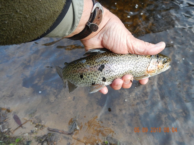 DSCN3182.jpg - Nice rainbow.
