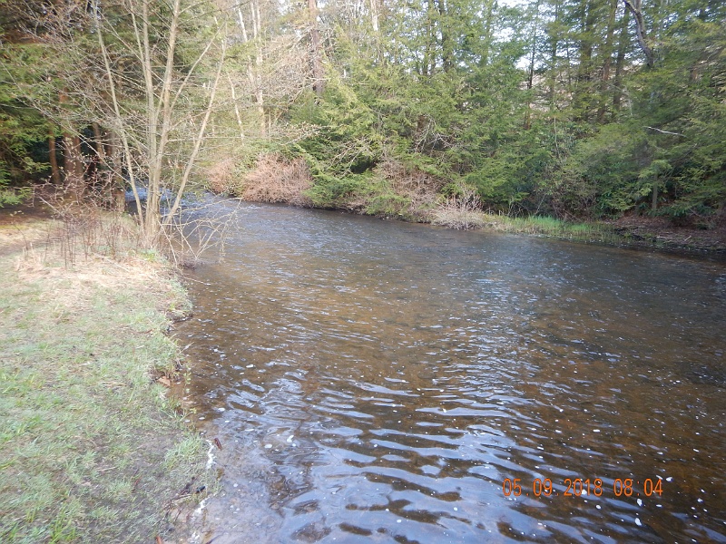 DSCN3183.jpg - Thanks to a tip from Mike, I fished this section earlier in the morning.