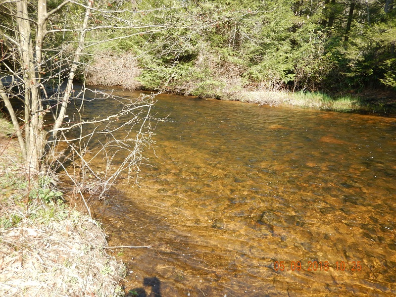 DSCN3194.jpg - Most of the browns and brookies came from the shallow riffles.