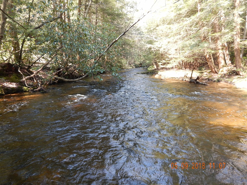 DSCN3195.jpg - Another section of Benner Run in the Delayed Harvest Area.