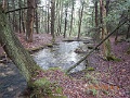 DSCN3141