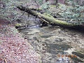 DSCN3142