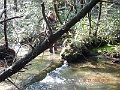 DSCN3174