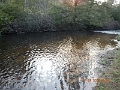 DSCN3184