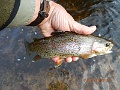 DSCN3188