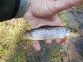 DSCN3192