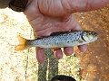 DSCN3193