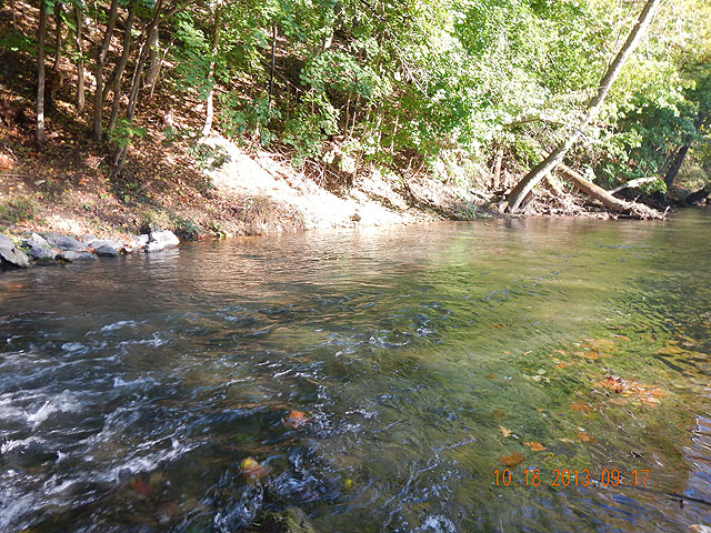 DSCN0166.jpg -                                Stream improvements have provided enhanced habitat for the fish.