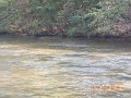 DSCN0180