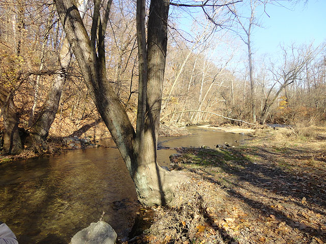 DSC01357.jpg -                                