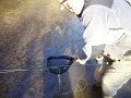 DSC01360