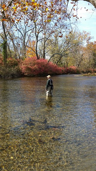 20161108_104910.jpg - Gary fishing with dry flies.