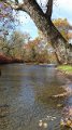 20161108_104916