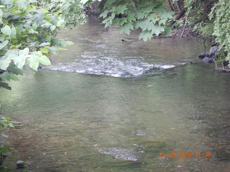$YellowBreeches1006$.jpg - I fished this run for a bit until another angler pushed her way into the water I was about to fish,  Inconsiderate!