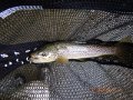 DSCN0287