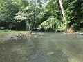 DSC00206001