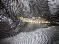 DSC00208001