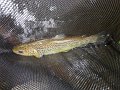 DSC00210001