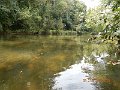 $Clarks Creek-001$