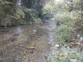 DSCN0636