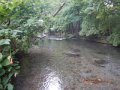 DSCN0639