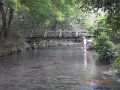 DSCN0650