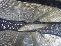 DSCN0651