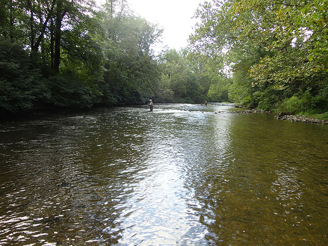 DSC01157.jpg -                                Looking up stream...only two other fishermen.  Lot of stream for me to fish!
