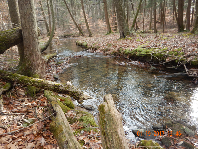 DSCN1827.jpg -                                We concentrated on the deeper pools and we did ok.