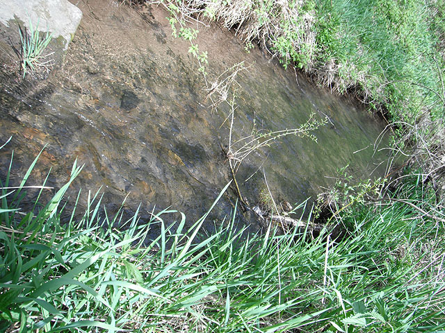 DSCF0351.jpg