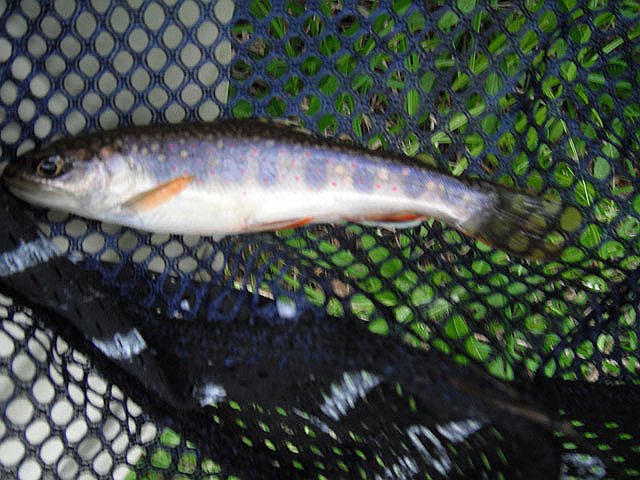 DSCF0358.jpg