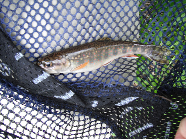 DSCF0360.jpg
