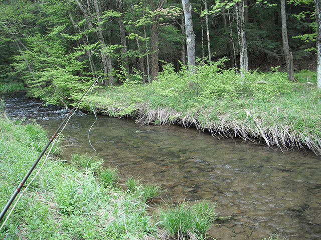 DSCF0363.jpg