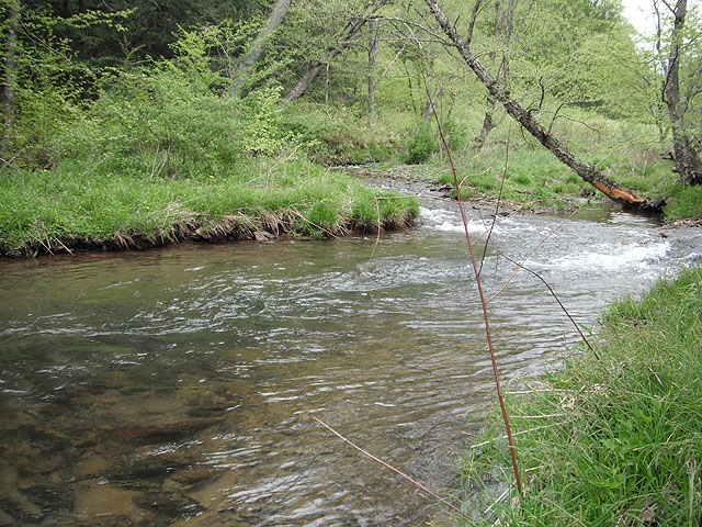 DSCF0370.jpg
