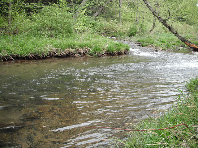 DSCF0372.jpg