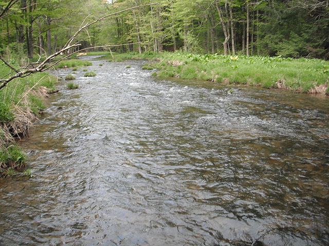 DSCF0376.jpg