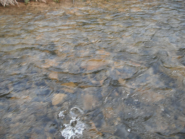 DSCF0383.jpg