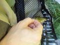 DSC01560