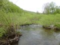 DSC01600