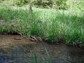 DSCF0349