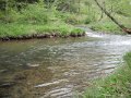 DSCF0372