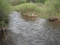 DSCF0380