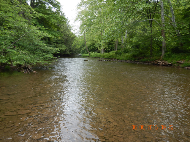 DSCN0418.jpg -                                Cross Fork up stream