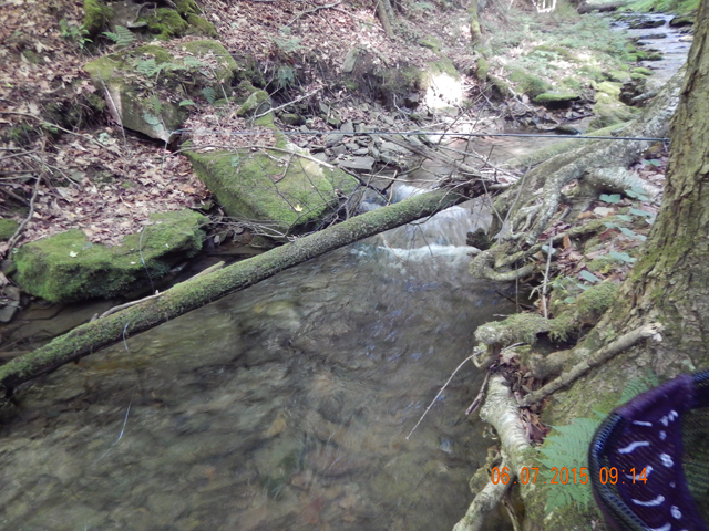 DSCN0430.jpg -                                