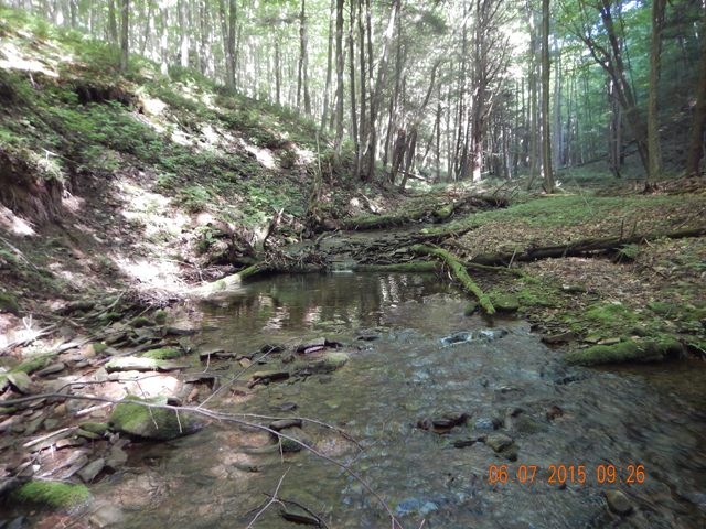 DSCN0432.jpg -                                